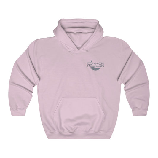All My Homies Hoodie - Light Pink